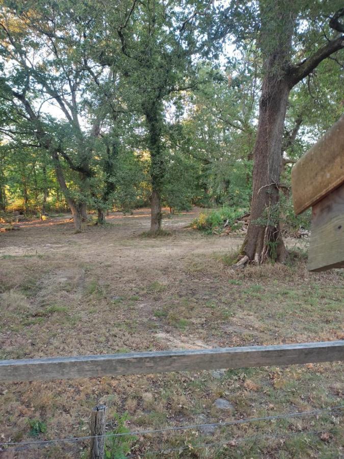 Maisonnette Vue Sur Foret Campagne  Bagian luar foto