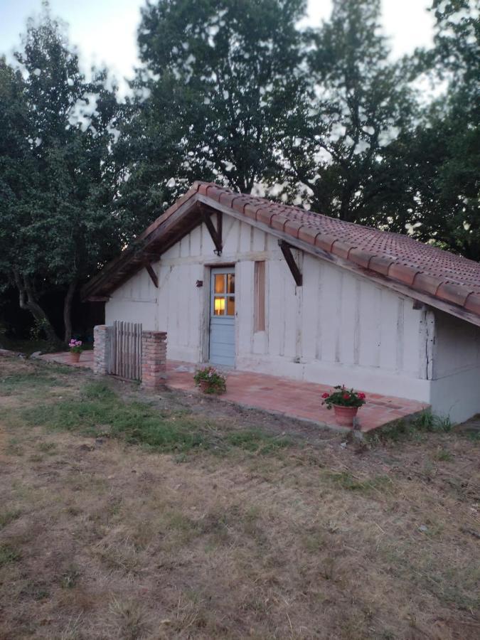 Maisonnette Vue Sur Foret Campagne  Bagian luar foto